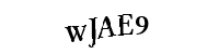 Please type the letters and numbers below