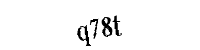 Please type the letters and numbers below