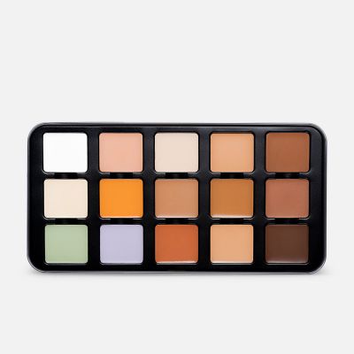 Pro Concealer Palette - C-A302
