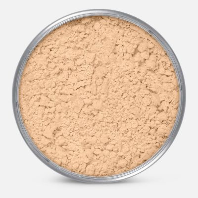 Anti Shine Powder Large