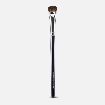 All Over Eye Colour Brush