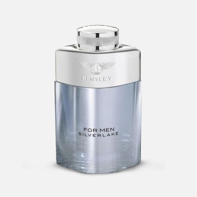 Silverlake EDP