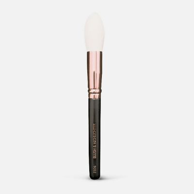 Blush Brush - F 106