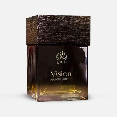 Vision EDP