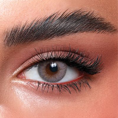 Elite Collection 3 months Contact Lenses