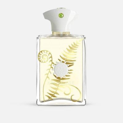 Bracken EDP Men