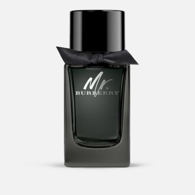 Mr Burberry EDP