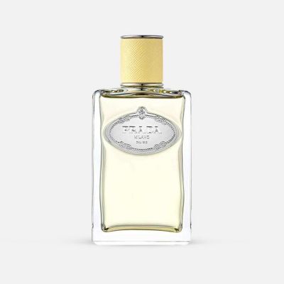 Infusion de Mimosa EDP