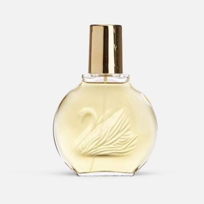 Vanderbilt EDT
