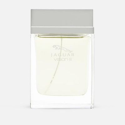 Vision II EDT