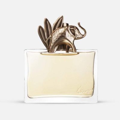 Jungle Elephant EDP
