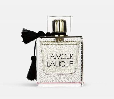 L Amour EDP
