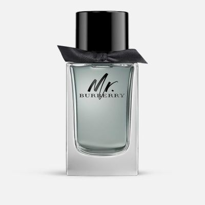 Mr Burberry EDT
