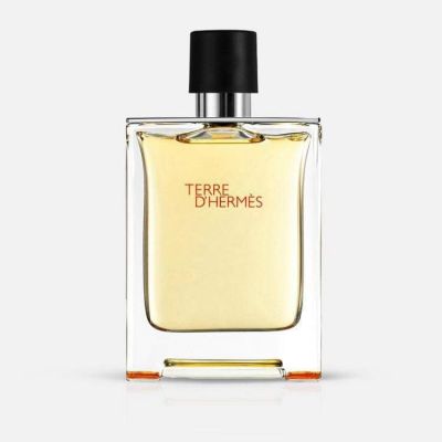 Terre D' Hermes EDT