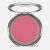 Blush Rose