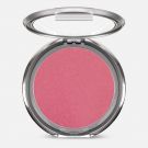 Blush Rose