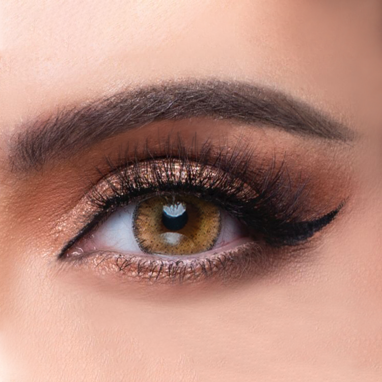 Monthly Contact Lenses