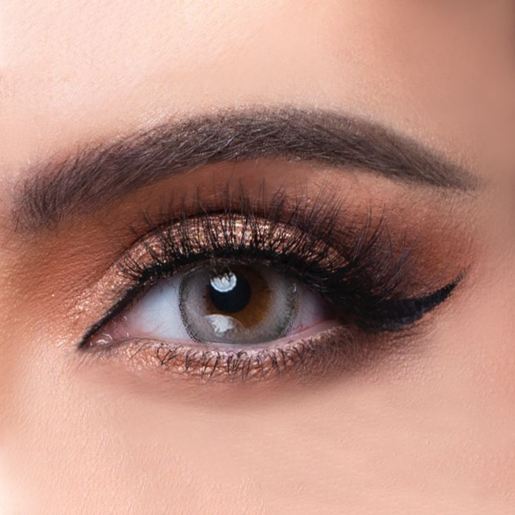 Monthly Contact Lenses
