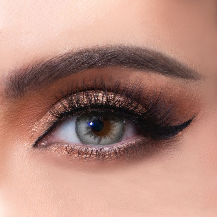 Monthly Contact Lenses