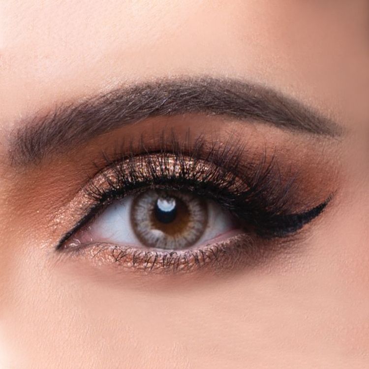 Monthly Contact Lenses