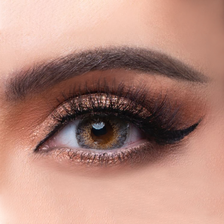 Monthly Contact Lenses