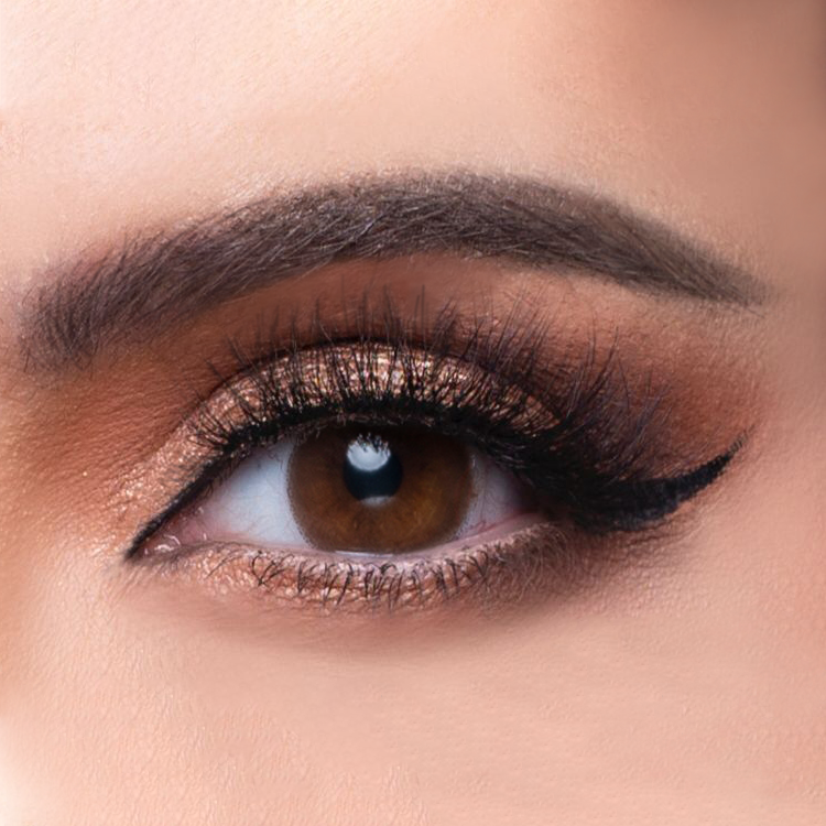Monthly Contact Lenses