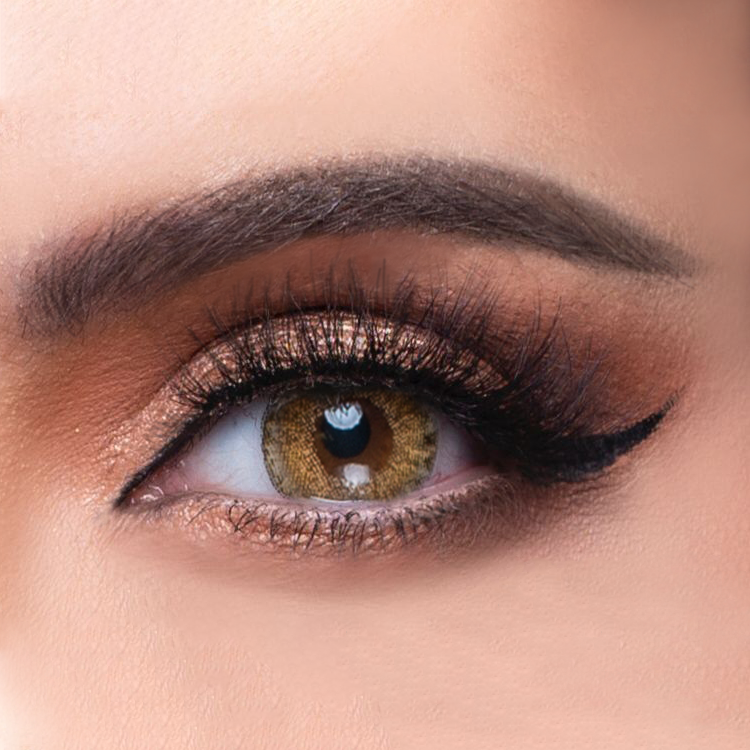 Monthly Contact Lenses
