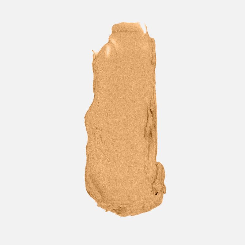 Anne T. Dote Concealer