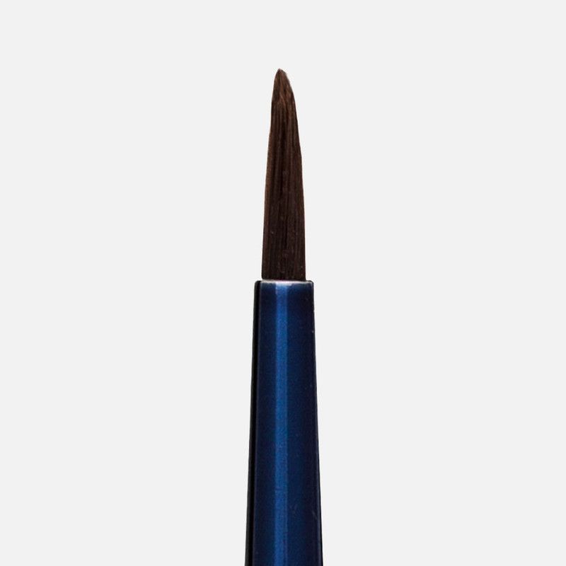 Blue Master Precision Liner Brush