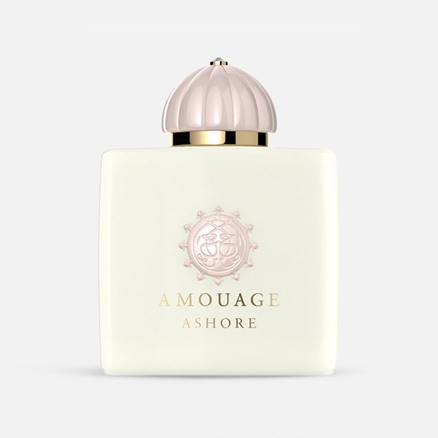 Ashore EDP