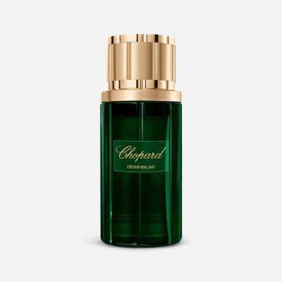 Cedar Malaki EDP